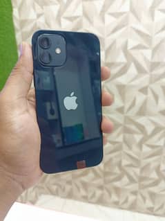 IPhone 12 Offical PTA Approved 64 gb Water pack