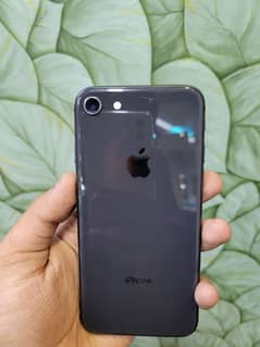 iphone 8 official Pta