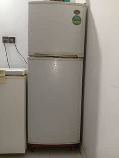 LG Fridge (Refrigerator No frost)
