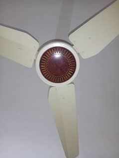 Ceiling Fans