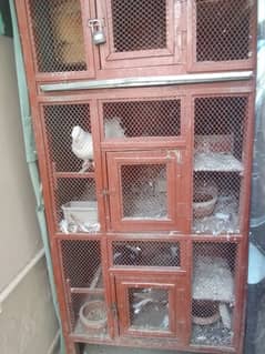 cage for sale great condition 10/10