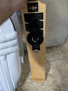 hard ball gm bat with gray Nicholas pads