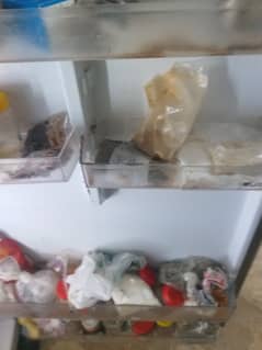 Selling my 3.5 years old Dawlance full size refrigerator.