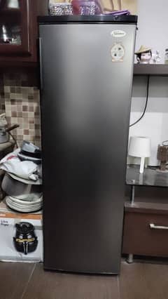 Veritical freezer. 10/10 condition