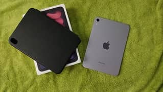 ipad mini 7