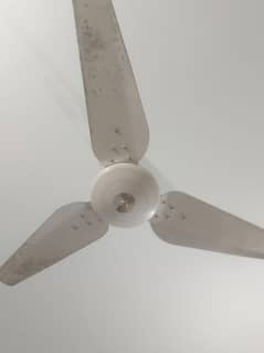 Ceiling Fans | Good Condition| Working Perfectly|