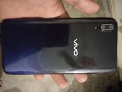 vivo