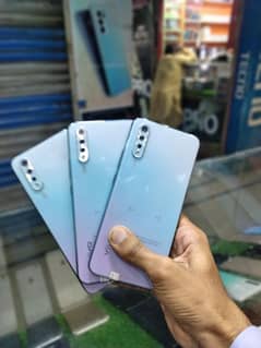 vivo