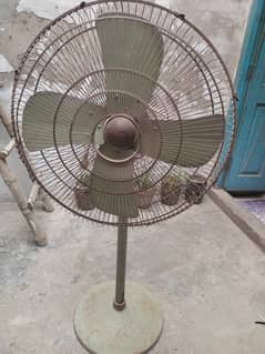 Pedestal Fan 24" | Table Fan | Farshi Fan
