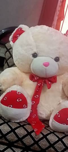 Teddy