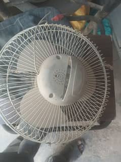 fan