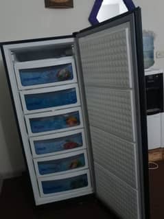 vertical freezer