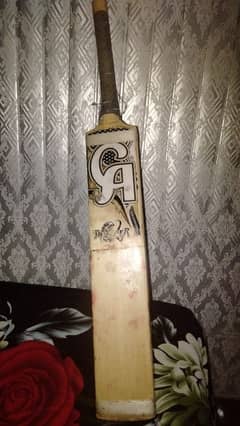 cricket
