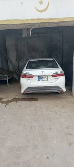 need driving job indrive youngo etc