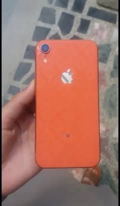 Xr