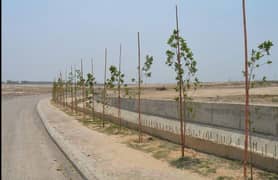 5 Marla Corner Plot with Extra Land in Block G Top City 1 | Final 75 Lac