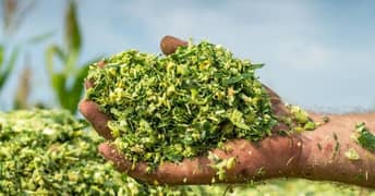 Silage for sale
