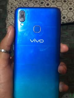 vivo