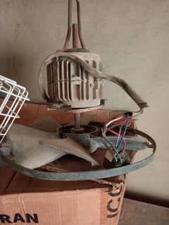 fan for sale