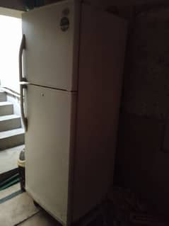 lg fridge