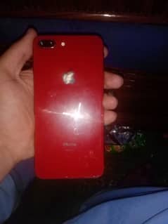 mujai