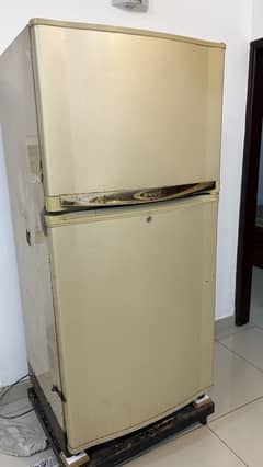 Waves refrigerator