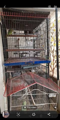 Bird for sel