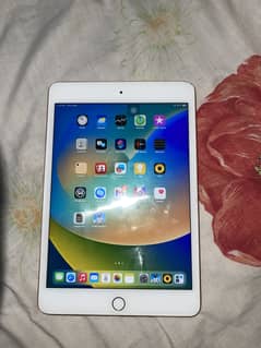 Ipad mini 5
