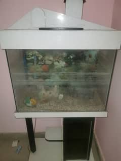 Fish Aquarium Rs 10000
