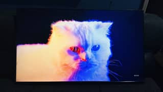 Haier 50 inch LED TV