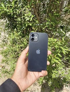 IPHONE 12 Non PTA Factory Unloack