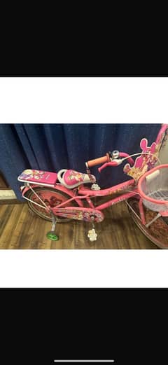 Girls bicycle