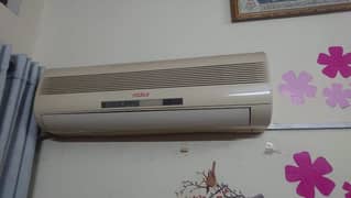 Nidus Split AC