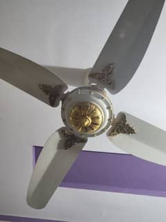 Fan Available 4 par bilkul new condition