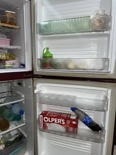 PEL Fridge