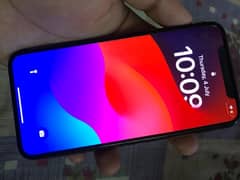 Xs