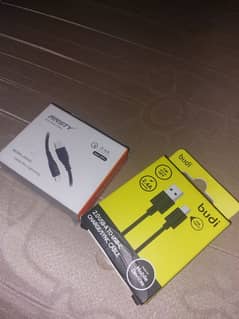 Budi/ANSTY