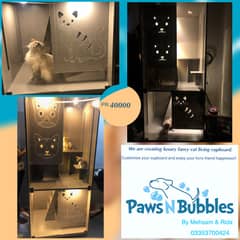 Fancy cat living cupboard
