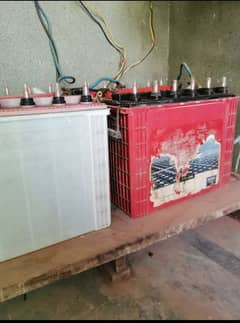 Tall tubular batteries 230AH