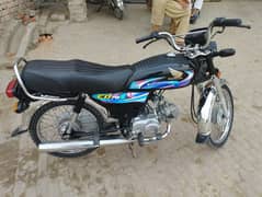 CD 70 2024