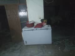 Arjant