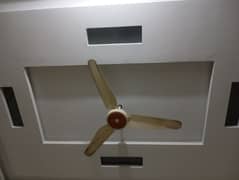 ceiling fan for sale