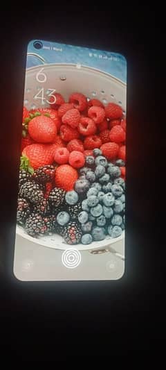 oppo f21pro 5g