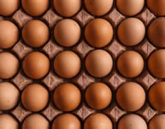 LOHMANN BROWN FRESH AND FERTILE EGGS
