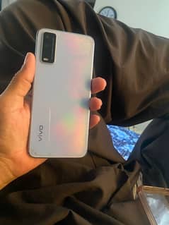 vivo