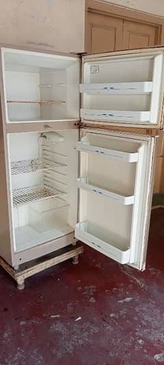 frige