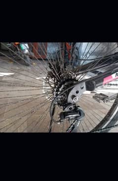 bicycle
