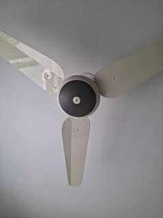 SK DELUX FAN