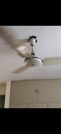 ASIA FAN