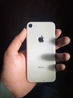 iPhone SE 2020
